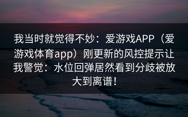 我当时就觉得不妙：爱游戏APP（爱游戏体育app）刚更新的风控提示让我警觉：水位回弹居然看到分歧被放大到离谱！